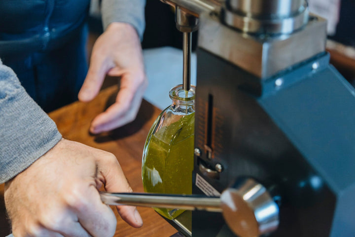 Olio nuovo: quando arriva, come conservarlo e come degustarlo al meglio