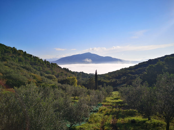 Riserva Naturale dell'Angimbè a Trapani, dove viene prodotto il nostro olio siciliano biologico