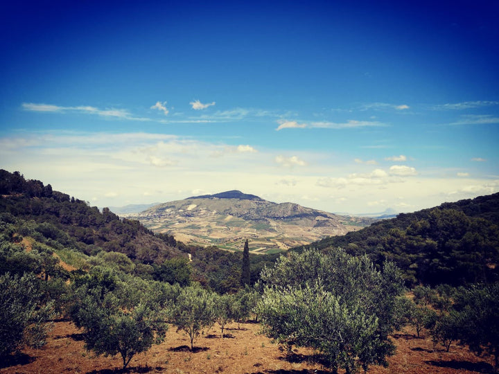 L'Angimbè, il territorio Siciliano dove viene prodotto il nostro olio, in provincia di Trapani 